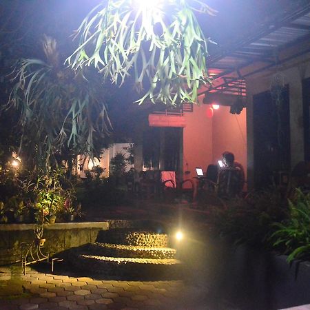 Banyu Homestay Баньюванги Экстерьер фото