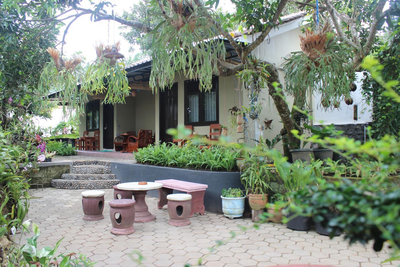 Banyu Homestay Баньюванги Экстерьер фото