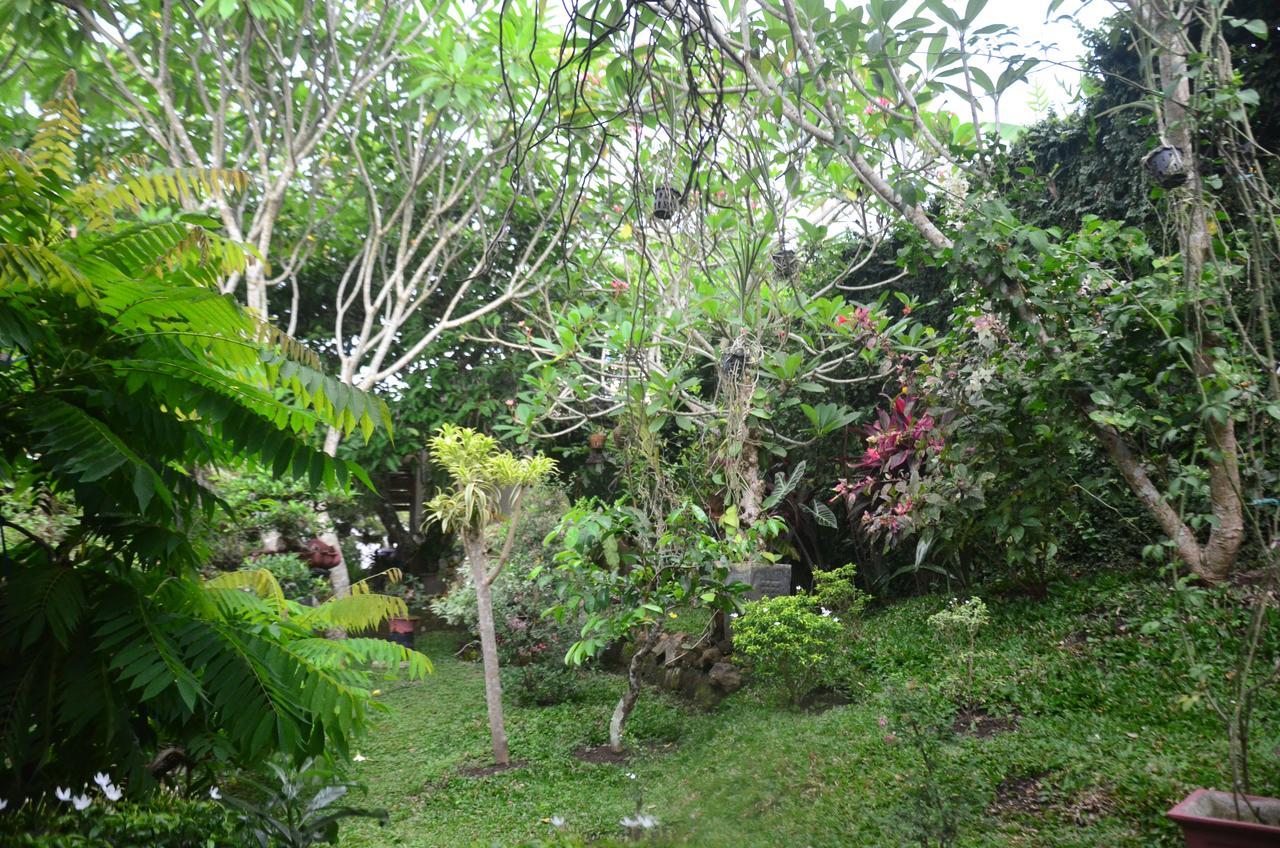 Banyu Homestay Баньюванги Экстерьер фото
