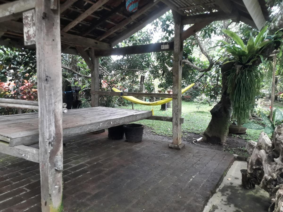 Banyu Homestay Баньюванги Экстерьер фото