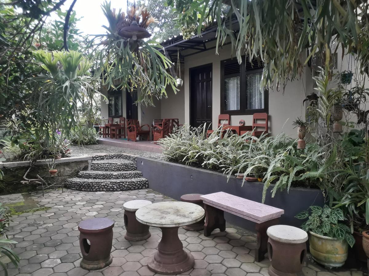 Banyu Homestay Баньюванги Экстерьер фото