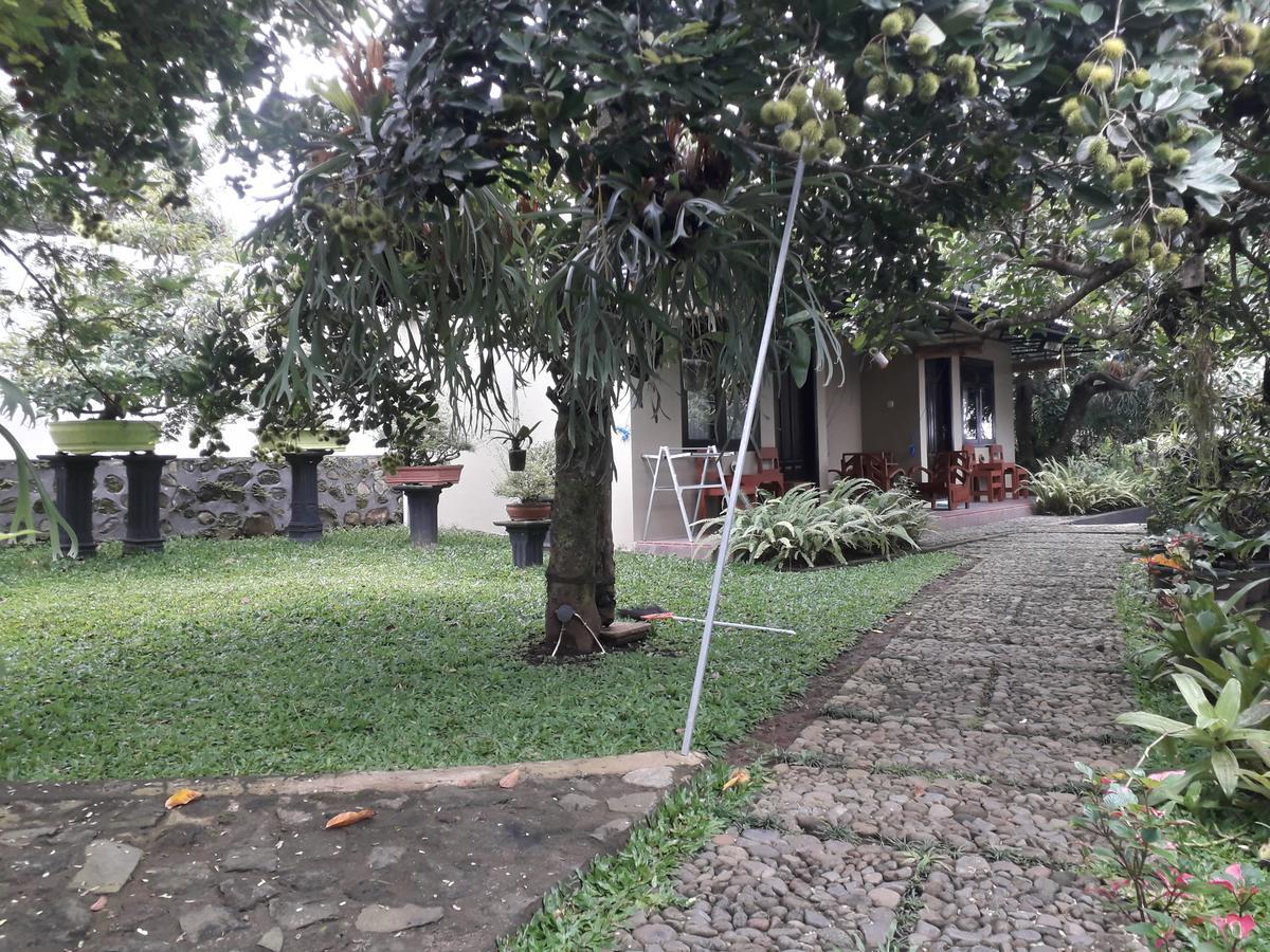 Banyu Homestay Баньюванги Экстерьер фото