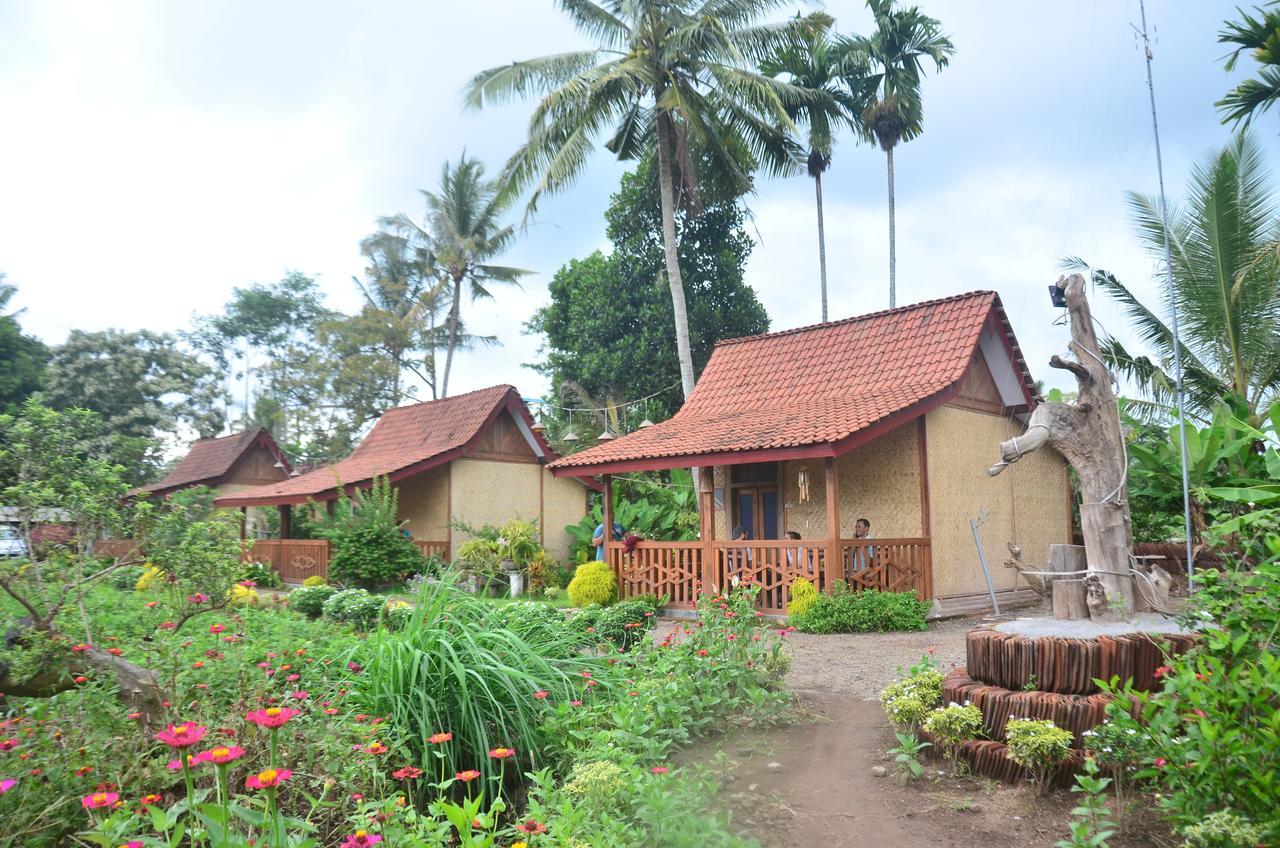 Banyu Homestay Баньюванги Экстерьер фото