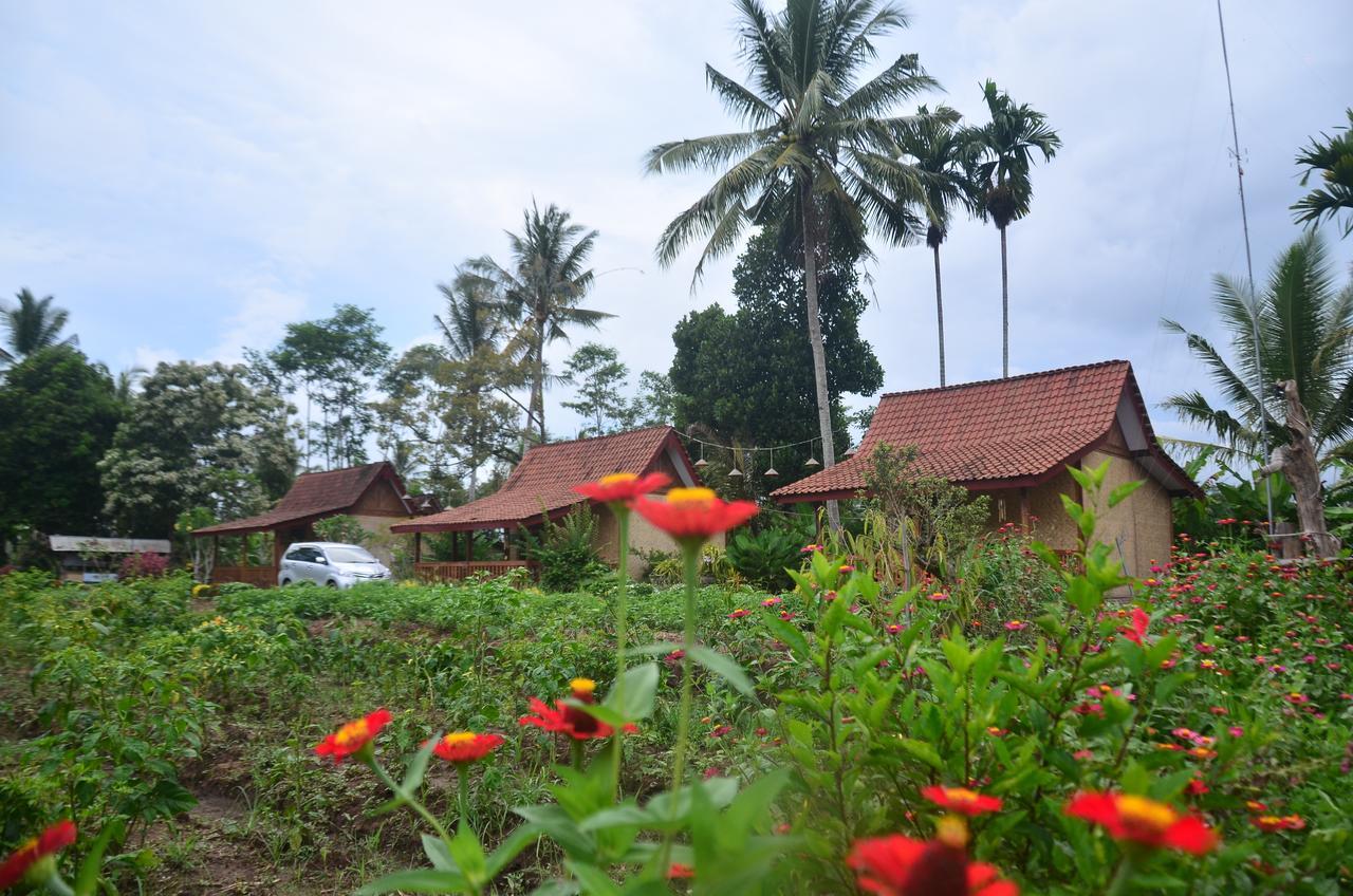 Banyu Homestay Баньюванги Экстерьер фото