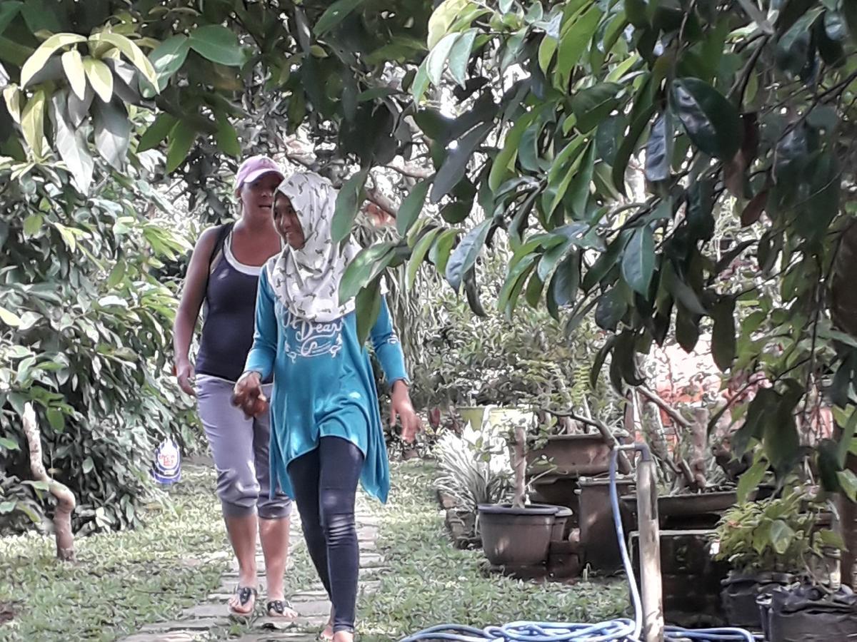 Banyu Homestay Баньюванги Экстерьер фото