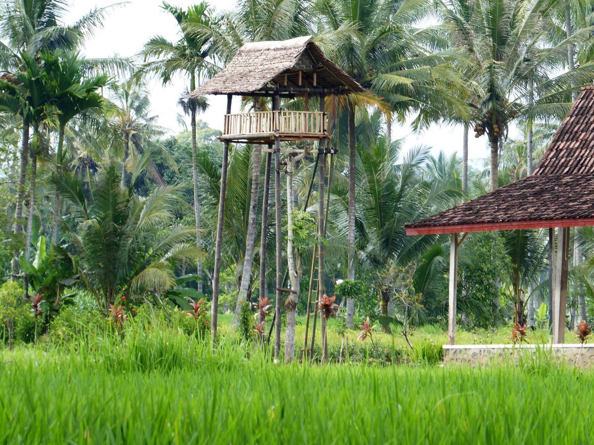 Banyu Homestay Баньюванги Экстерьер фото