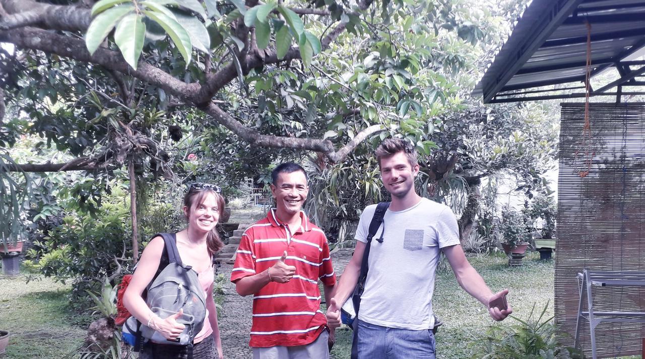 Banyu Homestay Баньюванги Экстерьер фото
