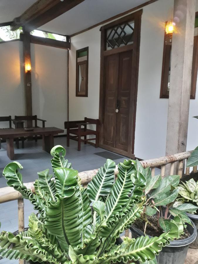 Banyu Homestay Баньюванги Экстерьер фото
