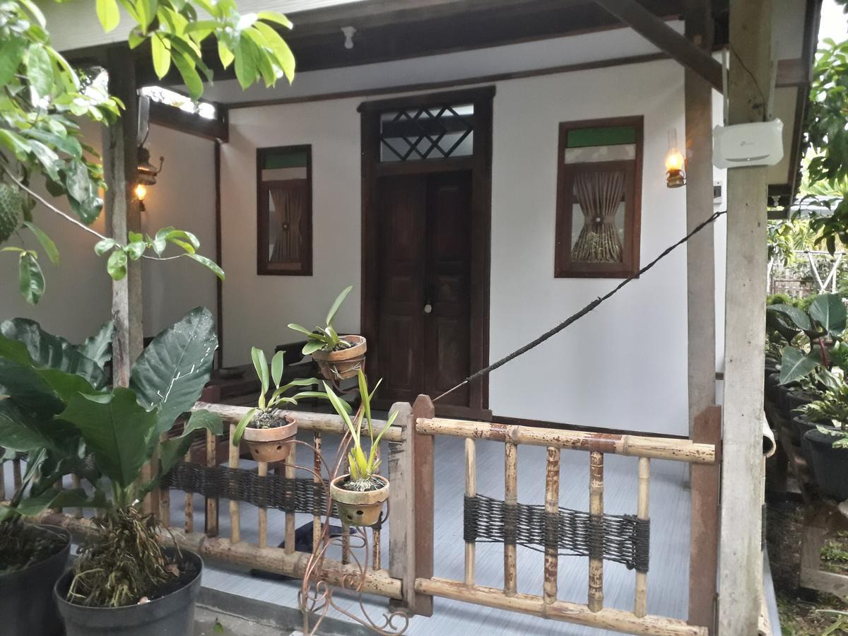 Banyu Homestay Баньюванги Экстерьер фото