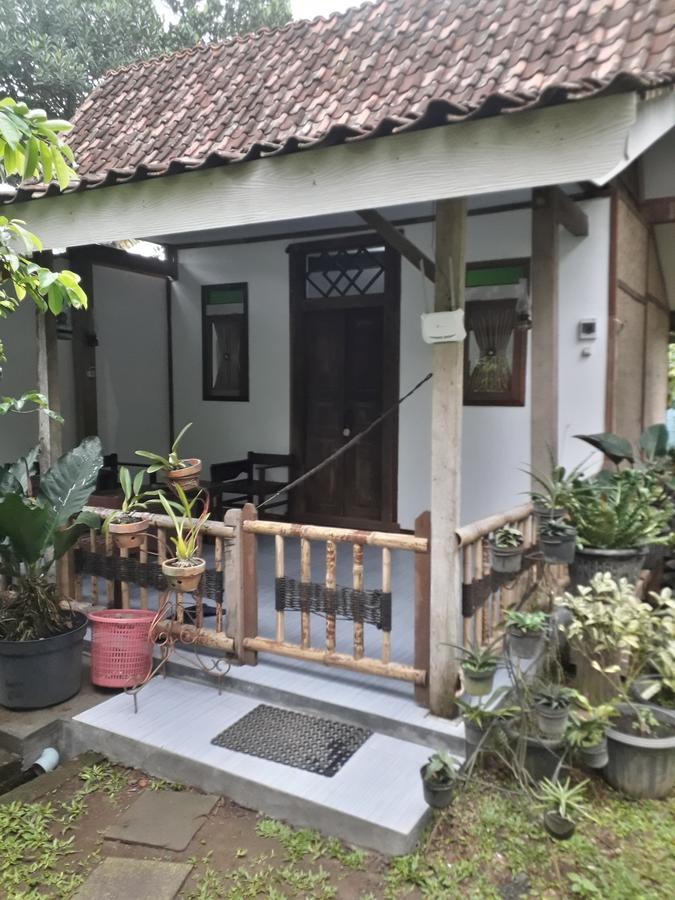 Banyu Homestay Баньюванги Экстерьер фото